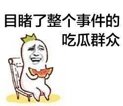 娱乐吃瓜酱说话的艺术,娱乐圈中的说话艺术解析