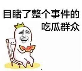 娱乐吃瓜酱奇葩辞退理由,贯彻文件精神不符
