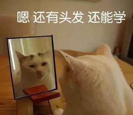 娱乐吃瓜酱学医的朋友,学医朋友的医学科普之旅