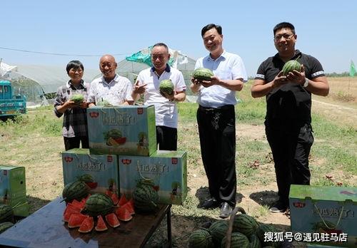 娱乐吃瓜酱小城市,娱乐吃瓜酱带你领略地方风情