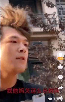 喵星娱乐吃瓜群众视频,吃瓜群众见证狗狗“群架”奇观