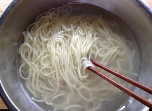 娱乐吃瓜酱天天吃面条,娱乐吃瓜酱的天天面条生活