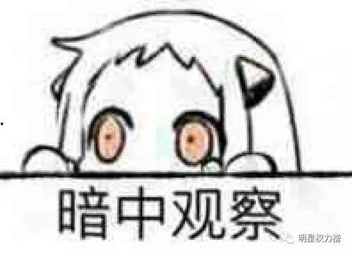 娱乐吃瓜君暗中观察,吃瓜群众揭秘幕后真相