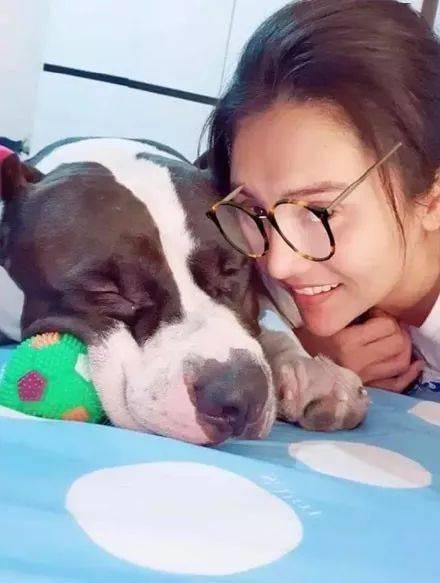 娱乐吃瓜酱小狗被卖,背后的故事与反思