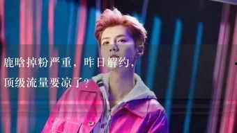 娱乐吃瓜小故事视频播放,视频播放背后的趣味与热度