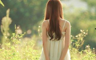 娱乐吃瓜酱背影图片大全,娱乐吃瓜酱背影图片大全揭秘