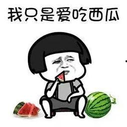 娱乐吃瓜酱梗是什么,网络流行语的演变与趣味