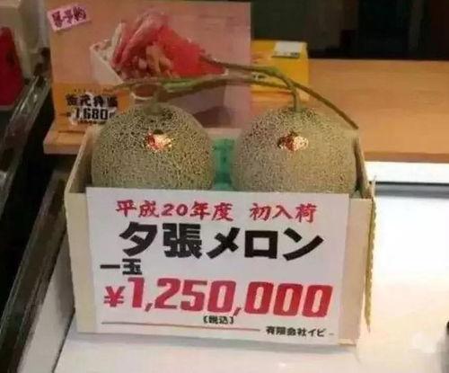 抖个大包袱娱乐吃瓜,揭秘娱乐吃瓜背后的趣味与智慧