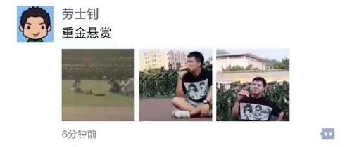 搞笑娱乐吃瓜图片大全集,带你领略欢乐瞬间