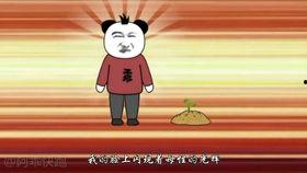 吃瓜娱乐圈沙雕动画,吃瓜群众眼中的明星日常