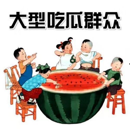 吃瓜娱乐鹅每日速报,鹅每日速报，热点事件一网打尽