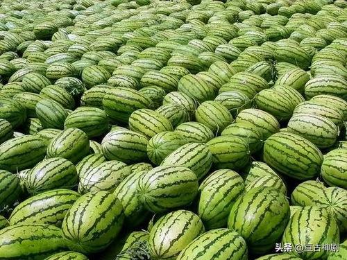 娱乐吃瓜渠道哪里找