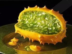 娱乐吃瓜公司有哪些品牌,揭秘娱乐吃瓜公司旗下热门品牌大盘点