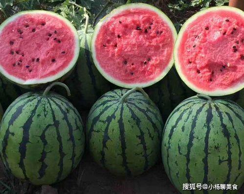 718娱乐吃瓜爆料不打烊,吃瓜不打烊，娱乐圈幕后故事大揭秘