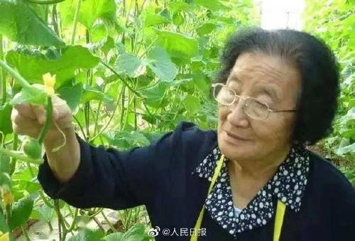 娱乐吃瓜酱犹太人,揭秘犹太人生存智慧与传奇故事