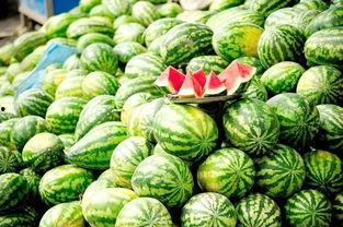 娱乐吃瓜酱衣服价格分配,揭秘娱乐吃瓜酱们的衣橱，价格大揭秘！