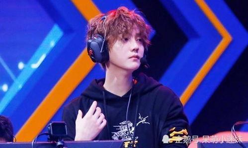 鹿晗娱乐圈吃瓜,揭秘明星背后的“吃瓜”故事