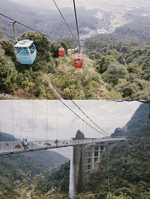 安排好行程娱乐吃瓜酱,一场说走就走的旅行盛宴