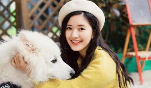 爱豆吃瓜娱乐酱白鹿,爱豆吃瓜娱乐酱，揭秘娱乐圈幕后故事