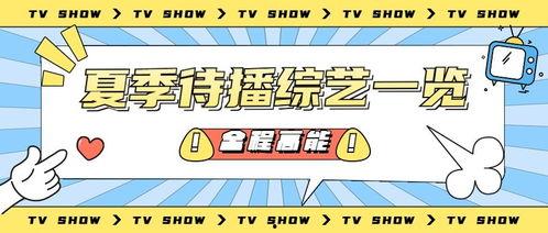 吃瓜营销号娱乐号区别,揭秘吃瓜与娱乐营销号的差异化魅力