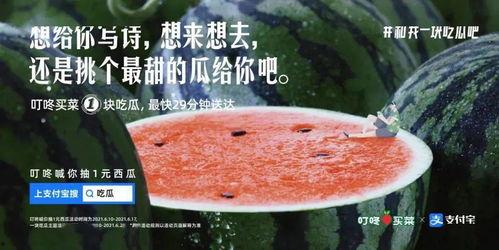 娱乐吃瓜文案哪里来的,揭秘娱乐吃瓜文案的诞生之谜