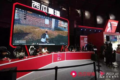 娱乐吃瓜君直播嘉年华,狂欢盛宴，笑料横生，精彩瞬间大盘点