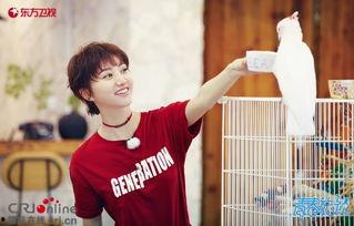 吃瓜娱乐圈王源,娱乐圈的瓜田，他的成长与蜕变