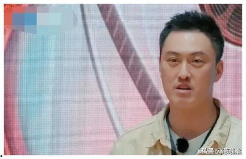 娱乐圈吃瓜爆料家暴,吃瓜群众揭露家暴丑闻，真相令人震惊